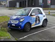 Blau-Weisser Smart mit Hundemotiv in Grenchen am 11.03.2023