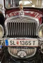 =Kühlergrill der Steyr Typ 30 Limousine, gesehen im Museum  fahr(T)raum - Ferdinand Porsche  in Mattsee/Österreich, Juni 2022