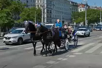 Bei herrlichem Wetter macht es Spa� mit solch einem Pferde Gespann eine Rundfahrt durch die Stra�en von Wien zu unternehmen. 06.2023