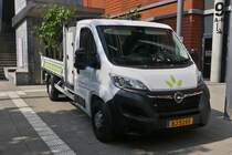 Opel Movano Pritsche, eines Grtnerbetriebes steht nahe einer Gartenanlage. 07.2023 