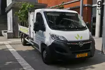 Opel Movano Pritsche, eines G�rtnerbetriebes steht nahe einer Gartenanlage. 07.2023 