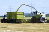 Claas Jaguar 980, Maishäcksler bei der Arbeit, Juni 2023