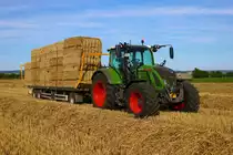 LU Norbert Mäser Fendt Vario 724 am 11.08.23 bei Florstadt in der Wetterau