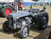 FergusonTed, Bj 1949, 4 Zyl, gesehen beim Gromperefest in Binsfeld (L). 03.09.2023