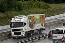 DAF XF95.430 von WEMHOFF TRANSPORT GmbH ist mit einem ThermoKing Khlauflieger unterwegs. Der Auflieger macht auf Tillman´s aufmrksam.
