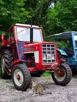 MC-Cormick354,Bj1972 und 38PS wird anl�sslich der Oldtimerausstellung am Steiglberg von einer Samtpfote  bewacht ; 090621