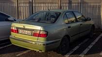 Rückansicht / Seitenansicht: Nissan Primera P11 in  Herb Green , gesehen in Januar, 2023.