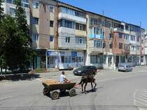 Pferdefuhrwerk, bzw. mit Hü und Hott nächst Insuratei (Rumänien); 230706