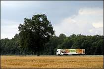 Das Mnsterland ist fr seine Landwirtschaftliche genutze Flche bekannt. Genau so bekannt ist Tillmann´s  Alles gute Tillmann´s fr mich!  aus Herzebrock-Clarholz deren Produkte sehr zum empfehlen ist :-P Im Bild ist ein DAF XF105.460SCC  SuperSpaceCab  von WEMHOFF Transport GmbH in Richtung Warendorf unterwegs. (25.06.2009)
