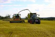 Lohnunternehmer Norbert Mäser Claas Jaguar 950 mit Direct Disc 600 und neuer Fendt Vario 728 mit Claas Cargos 760 Anfang Juni beim GPS Häckseln