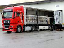 MAN TGX18.470, bei Regenwetter wird bei Tor2 palletierte Sackware geladen; 240603