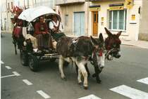 Anfang Mai 2005 zog durch die Provence ein exotisches Gespann. Vorne weg, hoch auf dem Pferd, ein stolzer wahrscheinlicher Osteuroper in einer Steppenuniform, dahinter dieses Kutschengefhrt, gezogen von 2 Eseln, und dahinter noch ein stolzer Reitersmann