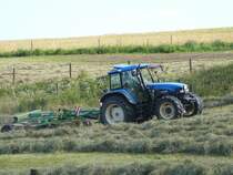 New Holland TM 115 mit Schwader bei der Heuernte in der Gemarkung von 36100 Petersberg-Marbach