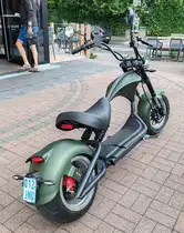 =Mangosteen-E-Roller, gesehen im August 2024