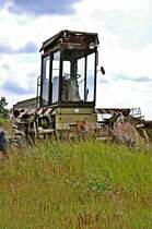 ein E 303 Schwadm�her in der Botanik, er vegetiert vor sich hin 