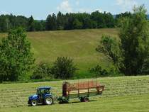 NEW-HOLLAND T4 verrichtet mit Ladewagen STEYR-HAMSTER-432 die Heuernte; 250531