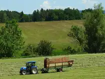 NEW-HOLLAND T4 verrichtet mit Ladewagen STEYR-HAMSTER-432 die Heuernte; 250531