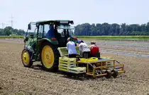 John Deere 5080M Allradschlepper, mit Pflanzmaschine, beim Einsetzen von Salatpflanzen, Juni 2025