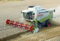 Class Lexion 460  Evolution  beim dreschen bei mir vor der Haust�r 4.8.2009