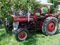 MF135  unter einem Fr�chtebehangenen 
Apfelbaum, kurz vor der Oldtimerausfahrt in Antiesenhofen; 090809