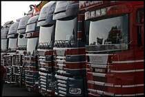 Impression der V�GEL-TRANSPORTE.