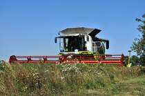 die erste Rund, Claas Lexion 600 bei der Ernte auf Rgen am 20.08.09