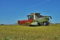der erste kleine Happen ist geschafft, Claas Lexion 600 bei der Ernte auf R�gen am 20.08.09