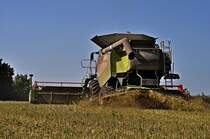 Nummer 2 am wirken, Claas Lexion 600 bei der Ernte auf Rgen am 20.08.09