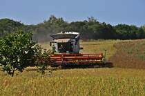 10,5 m Schnittbreite sind schon beachtlich,
Claas Lexion 600 beim Umsetzen auf Rgen am 20.08.09