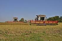  Ersteer  - Doppel Claas Lexion 600 bei der Ernte auf R�gen am 20.08.09