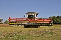 den 10,5 m Balken hoch und umsetzen zum nchsten Schnitt,
Claas Lexion 600 auf Rgen am 20.08.09