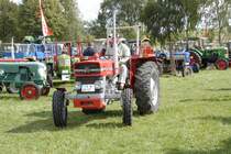 MF 135 fhrt bei der Oldtimerparade des  Deutz-Club Allmus  am 30.08.2009 auf seinen Standplatz