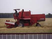 Ein Bizon in Polen in Swiniowice. (Landkreis Tarnowskie Gory)