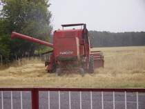 Ein Bizon in Polen in Swiniowice. (Landkreis Tarnowskie Gory)