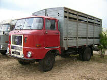 IFA W50L Viehtransporter auf dem Feld beim Rottelsdorfer Schleppertreffen
