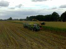 New Holland FX 48 beim H�ckseln auf einen Deutz-Fahr mit Claas-Silowagen