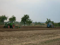 Pionier und Dutra beim Schaupflgen zum Schleppertreffen in Rottelsdorf