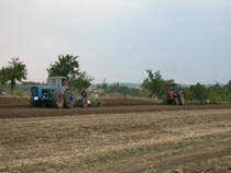 Der Rottelsdorfer Dutra und MTS82 beim Schaupflgen zum Rottelsdorfer Schleppertreffen