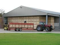 Case Magnum 310 mit Erntewagen auf der Belgisch - Niederlndischer Grenze am 25.-10-2009