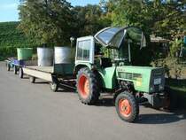 Fendt Farmer 200S,
die 200-er Baureihe wurde ab 1974 gebaut,
bei der Weinernte im Kaiserstuhl Sept.2009