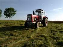 Fortschritt ZT 300 beim Gras mhen