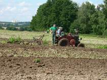Ein Lanz beim ackern mit 3Schar Anhngepflug in Bocka
