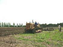 Die russ.T100 mit einer 4m Scheibenegge beim Stoppelsturtz auf dem Feld hinter dem 4Seitenhof im thr.Bocka