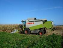 Claas Lexion 420,
bei der Maisernte 2008 in der Rheinebene,