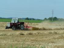 STEYR540 ist mit einem Kreiselheuer bei der Weizenstrohernte zugegen;090808