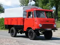 sch�n aufgebauter Robur. 29.05.2009