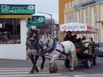 Noriker-Pferdekutsche anl�sslich des Sparkassen-Advent in Ried i.I.;091129