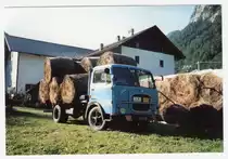 Fiat 650 N. 1960 - 1967. Bei diesem Modell wurde das Fahrerhaus von der Karosseriefirma Pasini gefertigt und verbaut. Der 6-Zylinderreihendieselmotor leistet 90 PS aus 4.678 cm� Hubraum. Auf dem Hof eines Freundes tut er auch heute noch zuverl�ssig seinen Dienst. September 1991 in Studena-Bassa/UD Italien.