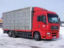 MAN TG410A mit Groviehtransport-Aufbau ist anlsslich des Pferdemarktes in Ried i.I. vorgefahren;100217