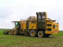 Zuckerr�benroder, Type TIGER der Fa. ROPA hat schon irgendwie gigantische Leistungskapazit�ten; mit einer Antriebsleistung von 436kW(604PS) schafft er bis zu 2Ha/Std. und kann ~40m�(26-29Tonnen)R�ben zwischenbunkern. gesehen auf einem Feld in der N�he von RIED i.I.; 071028